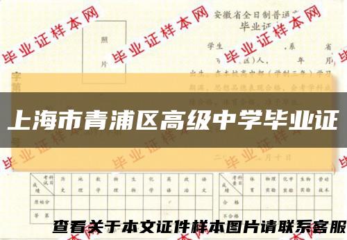 上海市青浦區高級中學畢業證縮略圖
