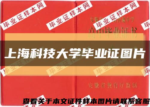 上?？萍即髮W畢業證圖片縮略圖
