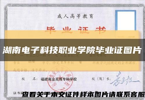 湖南電子科技職業學院畢業證圖片縮略圖
