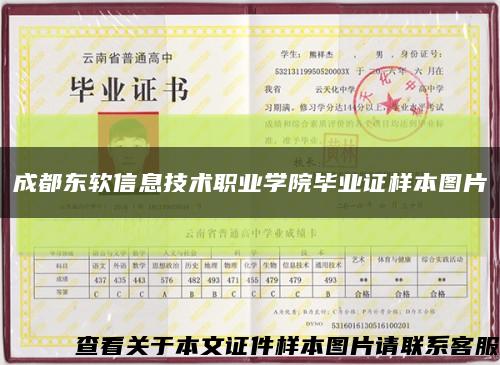 成都東軟信息技術職業學院畢業證樣本圖片縮略圖