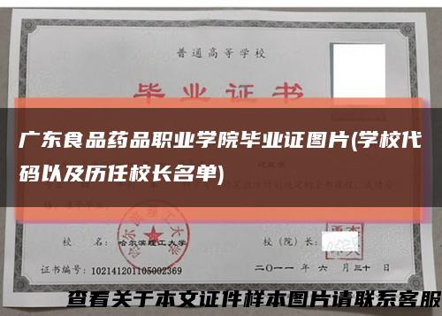 廣東食品藥品職業學院畢業證圖片(學校代碼以及歷任校長名單)縮略圖