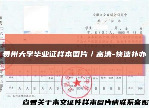貴州大學畢業證樣本圖片／高清-快速補辦縮略圖
