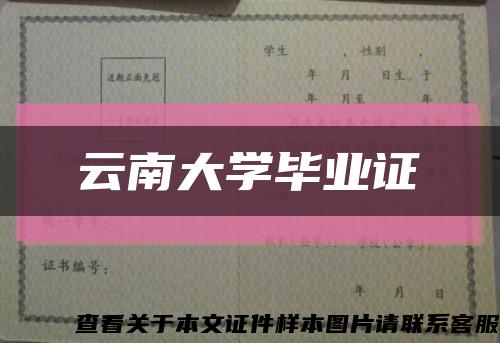 云南大學畢業證縮略圖