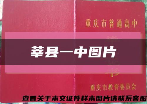 莘縣一中圖片縮略圖
