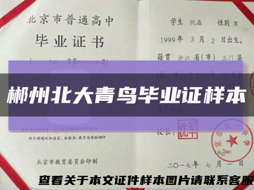 郴州北大青鳥畢業證樣本縮略圖