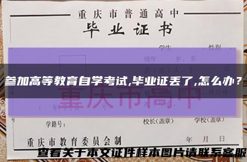 參加高等教育自學考試,畢業證丟了,怎么辦？縮略圖