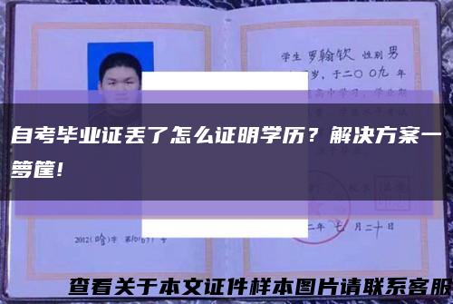 自考畢業證丟了怎么證明學歷？解決方案一籮筐!縮略圖