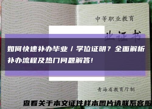 如何快速補辦畢業／學位證明？全面解析補辦流程及熱門問題解答!縮略圖