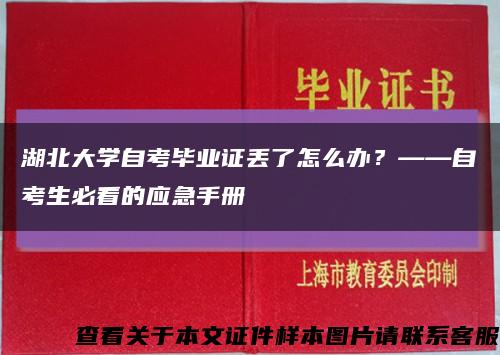 湖北大學自考畢業證丟了怎么辦？——自考生必看的應急手冊縮略圖