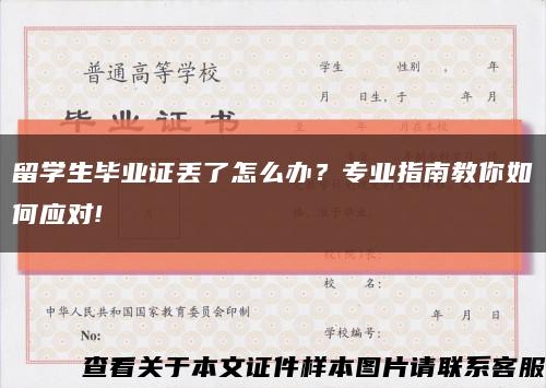 留學生畢業證丟了怎么辦？專業指南教你如何應對!縮略圖