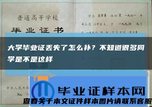 大學畢業證丟失了怎么補？不知道很多同學是不是這樣縮略圖