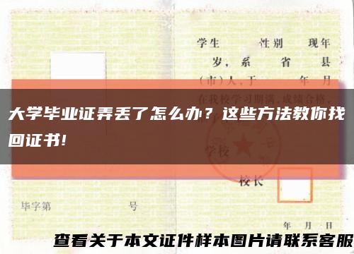 大學畢業證弄丟了怎么辦？這些方法教你找回證書!縮略圖