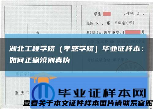 湖北工程學院（孝感學院）畢業證樣本：如何正確辨別真偽縮略圖