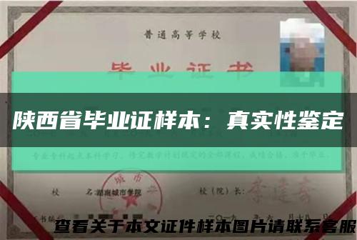 陜西省畢業證樣本：真實性鑒定縮略圖
