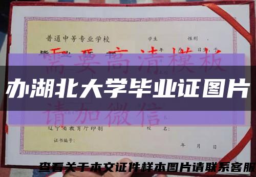 辦湖北大學畢業證圖片縮略圖