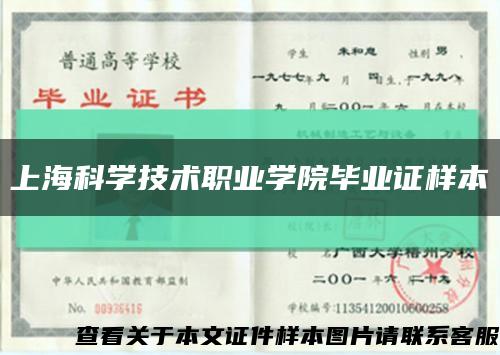 上?？茖W技術職業學院畢業證樣本縮略圖