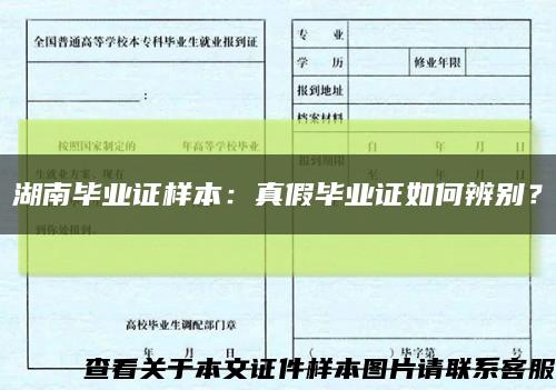 湖南畢業證樣本：真假畢業證如何辨別？縮略圖