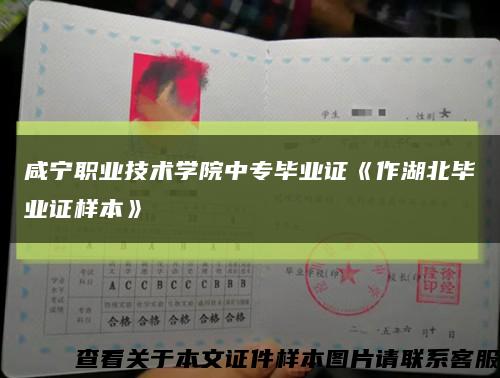 咸寧職業技術學院中專畢業證《作湖北畢業證樣本》縮略圖