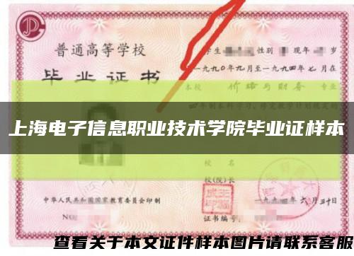 上海電子信息職業技術學院畢業證樣本縮略圖