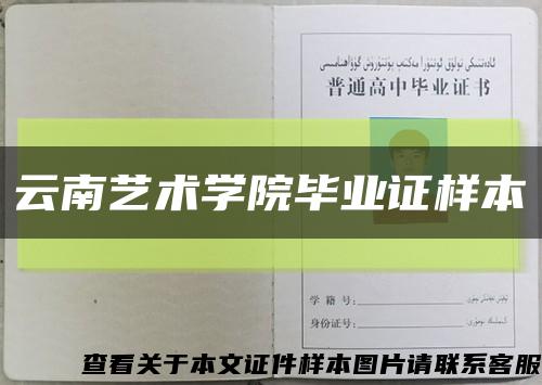 云南藝術學院畢業證樣本縮略圖