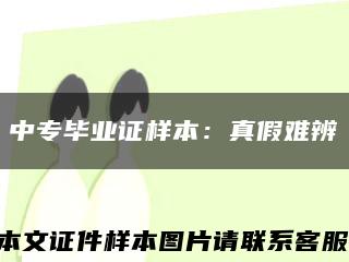 中專畢業證樣本：真假難辨縮略圖