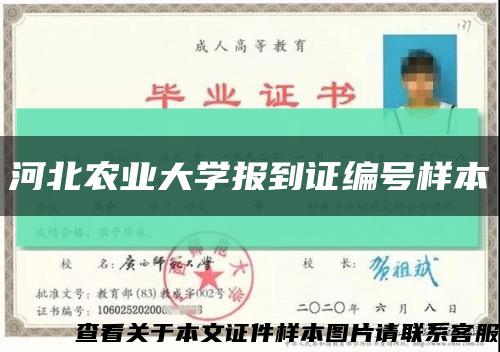 河北農業大學報到證編號樣本縮略圖