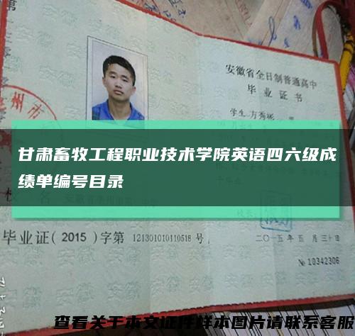 甘肅畜牧工程職業技術學院英語四六級成績單編號目錄縮略圖