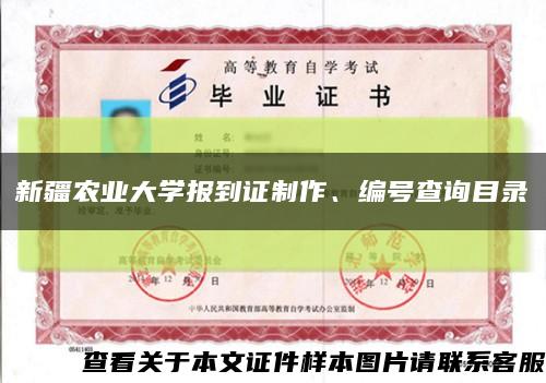 新疆農業大學報到證制作、編號查詢目錄縮略圖