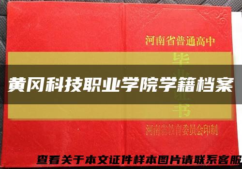 黃岡科技職業學院學籍檔案縮略圖