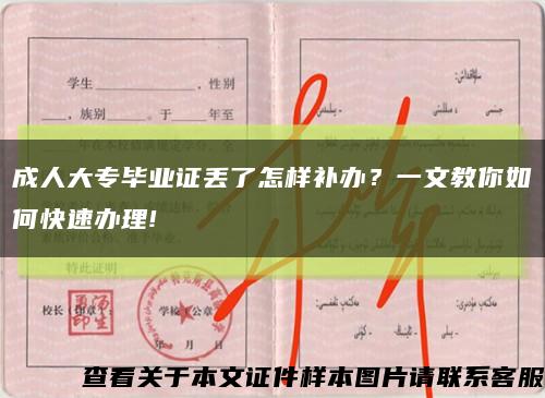 成人大專畢業證丟了怎樣補辦？一文教你如何快速辦理!縮略圖