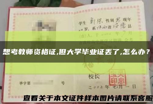 想考教師資格證,但大學畢業證丟了,怎么辦？縮略圖