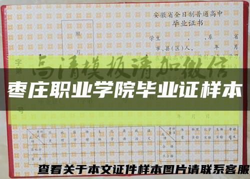 棗莊職業學院畢業證樣本縮略圖