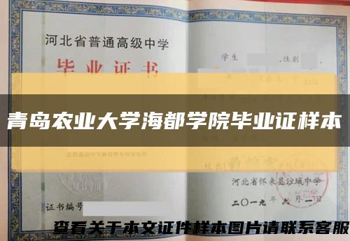 青島農業大學海都學院畢業證樣本縮略圖