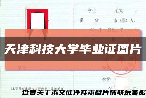 天津科技大學畢業證圖片縮略圖