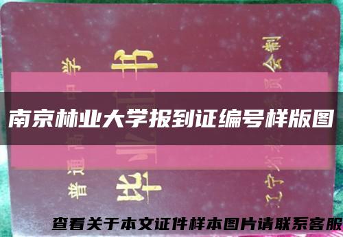 南京林業大學報到證編號樣版圖縮略圖