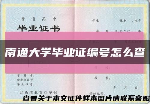 南通大學畢業證編號怎么查縮略圖