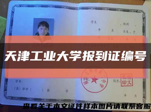 天津工業大學報到證編號縮略圖