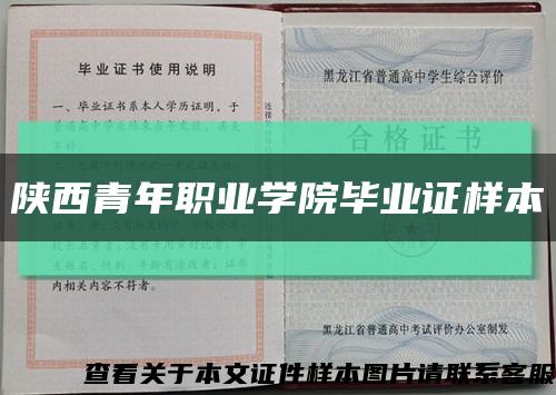 陜西青年職業學院畢業證樣本縮略圖