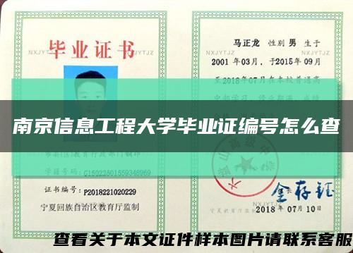 南京信息工程大學畢業證編號怎么查縮略圖