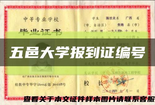 五邑大學報到證編號縮略圖