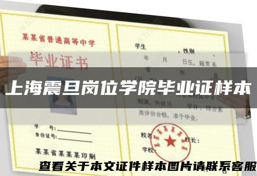 上海震旦崗位學院畢業證樣本縮略圖