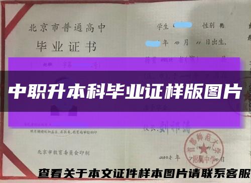 中職升本科畢業證樣版圖片縮略圖