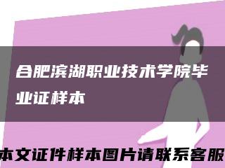 合肥濱湖職業技術學院畢業證樣本縮略圖