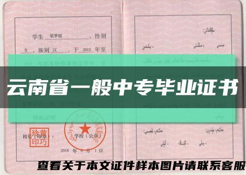 云南省一般中專畢業證書縮略圖