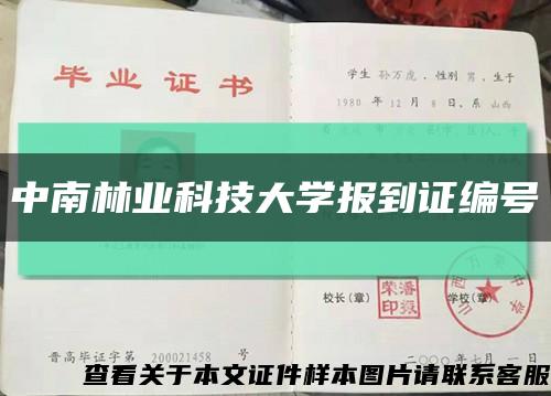 中南林業科技大學報到證編號縮略圖