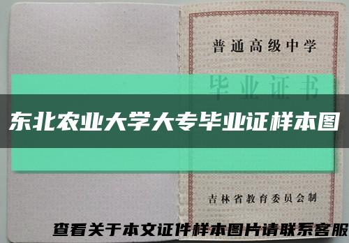 東北農業大學大專畢業證樣本圖縮略圖