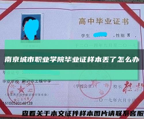 南京城市職業學院畢業證樣本丟了怎么辦縮略圖