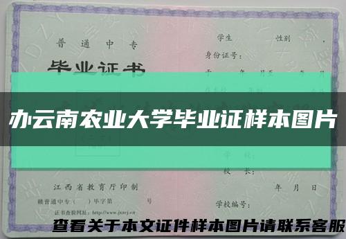 辦云南農業大學畢業證樣本圖片縮略圖