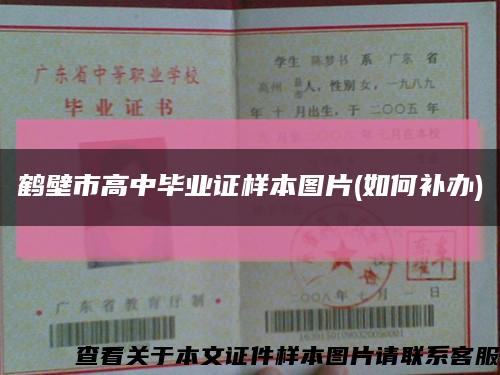 鶴壁市高中畢業證樣本圖片(如何補辦)縮略圖