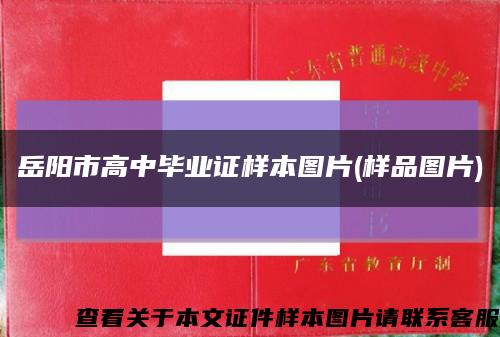 岳陽市高中畢業證樣本圖片(樣品圖片)縮略圖